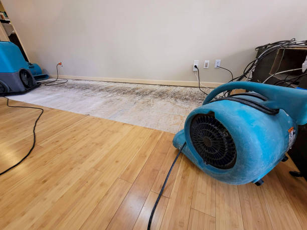 Professional Flood Damage Cleanup technician working in Tiptonville, TN